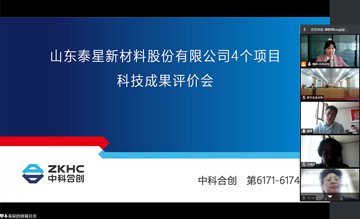 山东泰星新材料股份有限公司4个项目 xiao.jpg